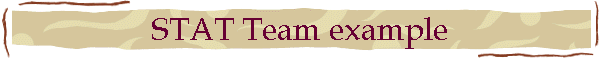 STAT Team example