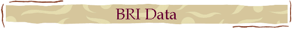 BRI Data